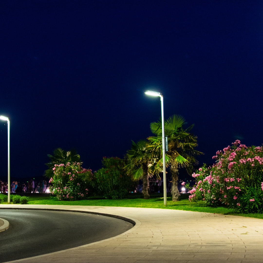 Best Solar Street Light